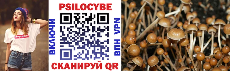Галлюциногенные грибы Cubensis гидра онион Можайск