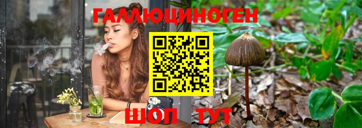Галлюциногенные грибы Magic Shrooms Можайск