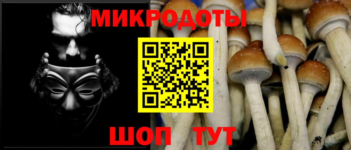 Псилоцибиновые грибы прущие грибы  Вход с VPN  Можайск 